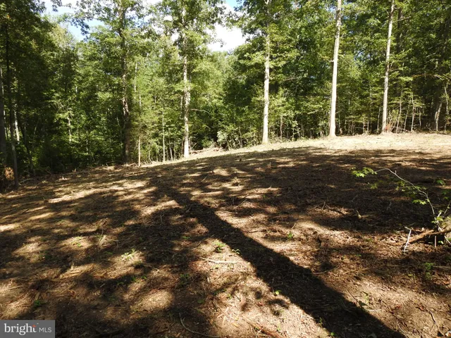 a view of a house with a tree