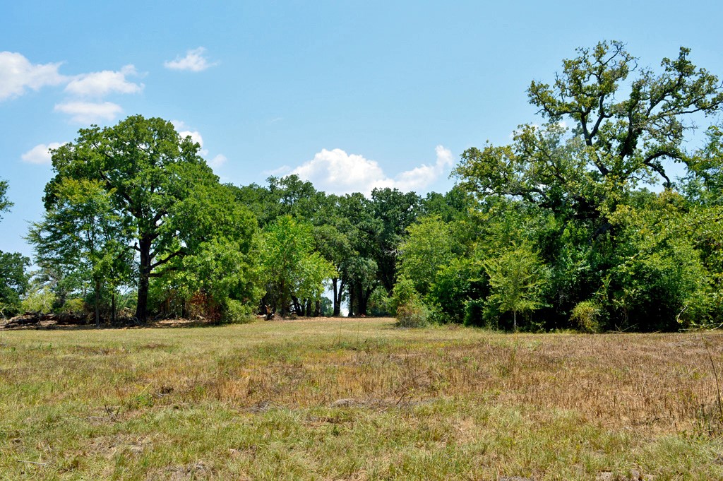 90 Fm 1227 Navasota, TX 77868 - Photo 20 of 28