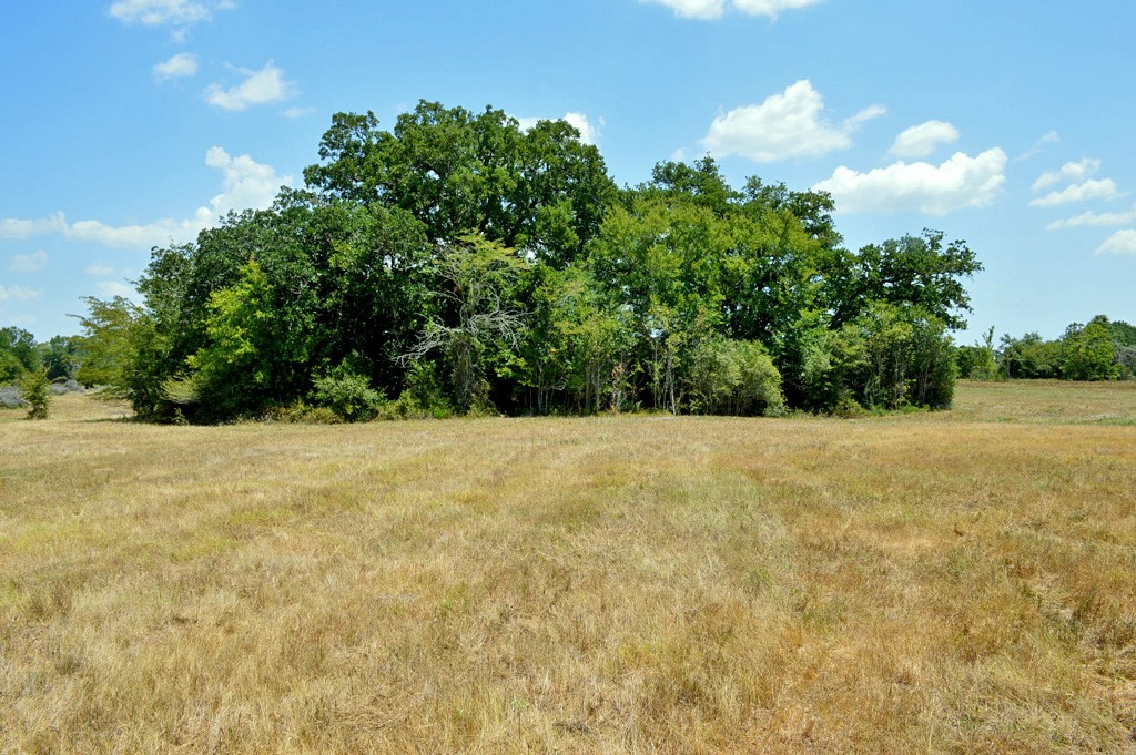 90 Fm 1227 Navasota, TX 77868 - Photo 21 of 28