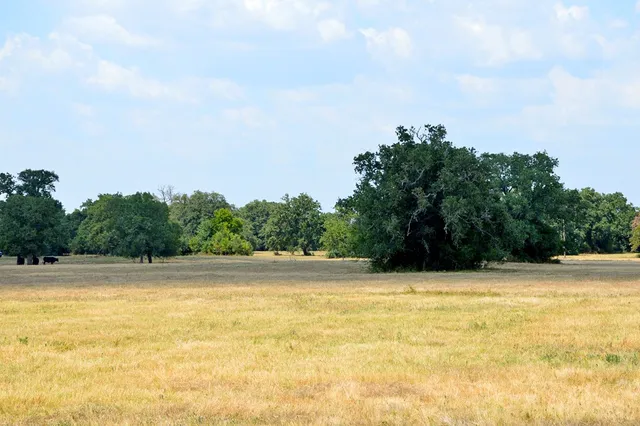 $1,550,000 | 90 Fm 1227, Navasota, TX 77868