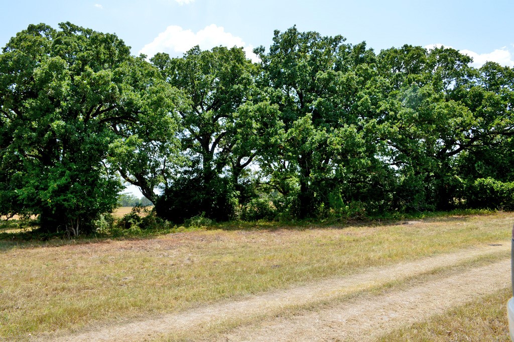 90 Fm 1227 Navasota, TX 77868 - Photo 26 of 28