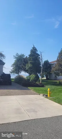 a view of a yard with a road