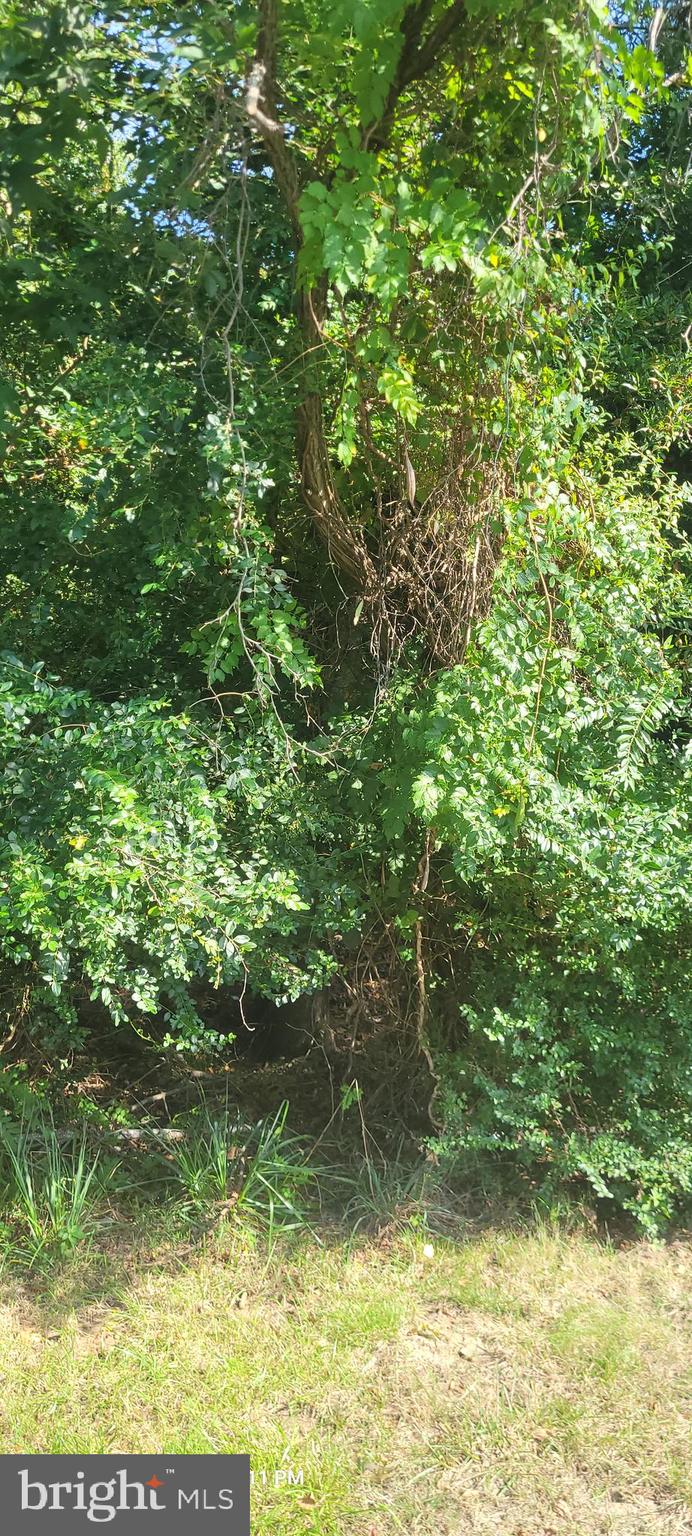 11265 Keokee Court Issue, MD 20645 - Photo 6 of 10 Lot