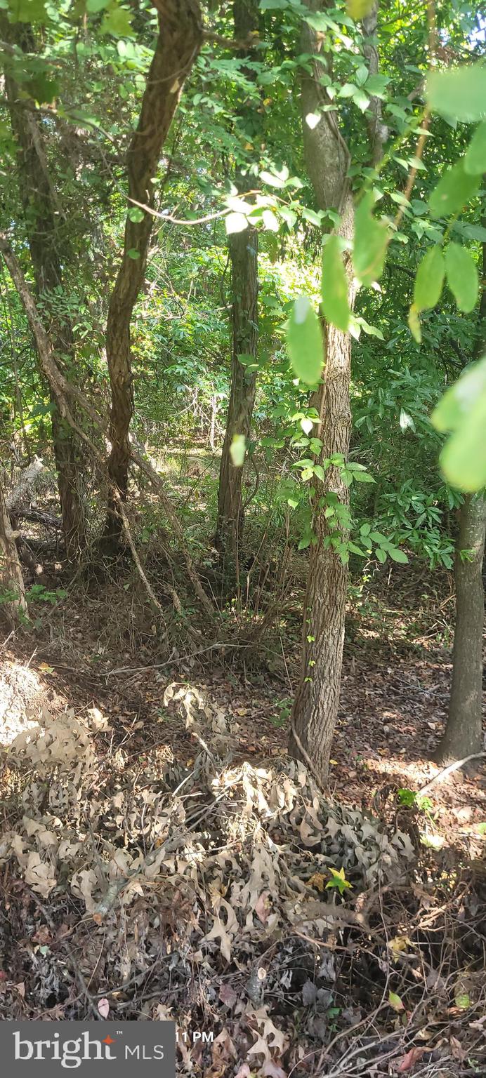 11265 Keokee Court Issue, MD 20645 - Photo 7 of 10 Lot