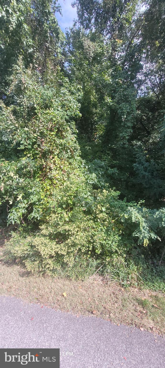 11265 Keokee Court Issue, MD 20645 - Photo 9 of 10 Lot