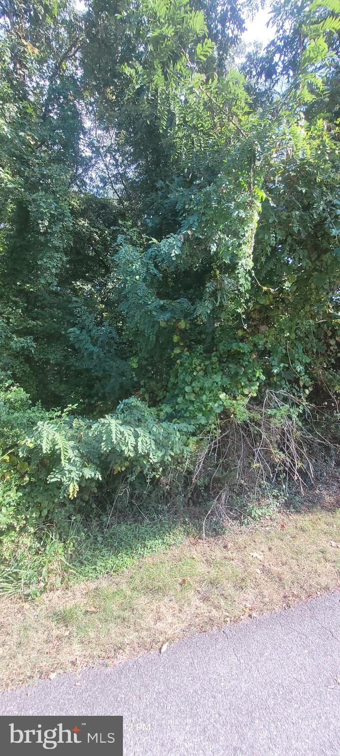 11265 Keokee Court Issue, MD 20645 - Photo 10 of 10 Lot