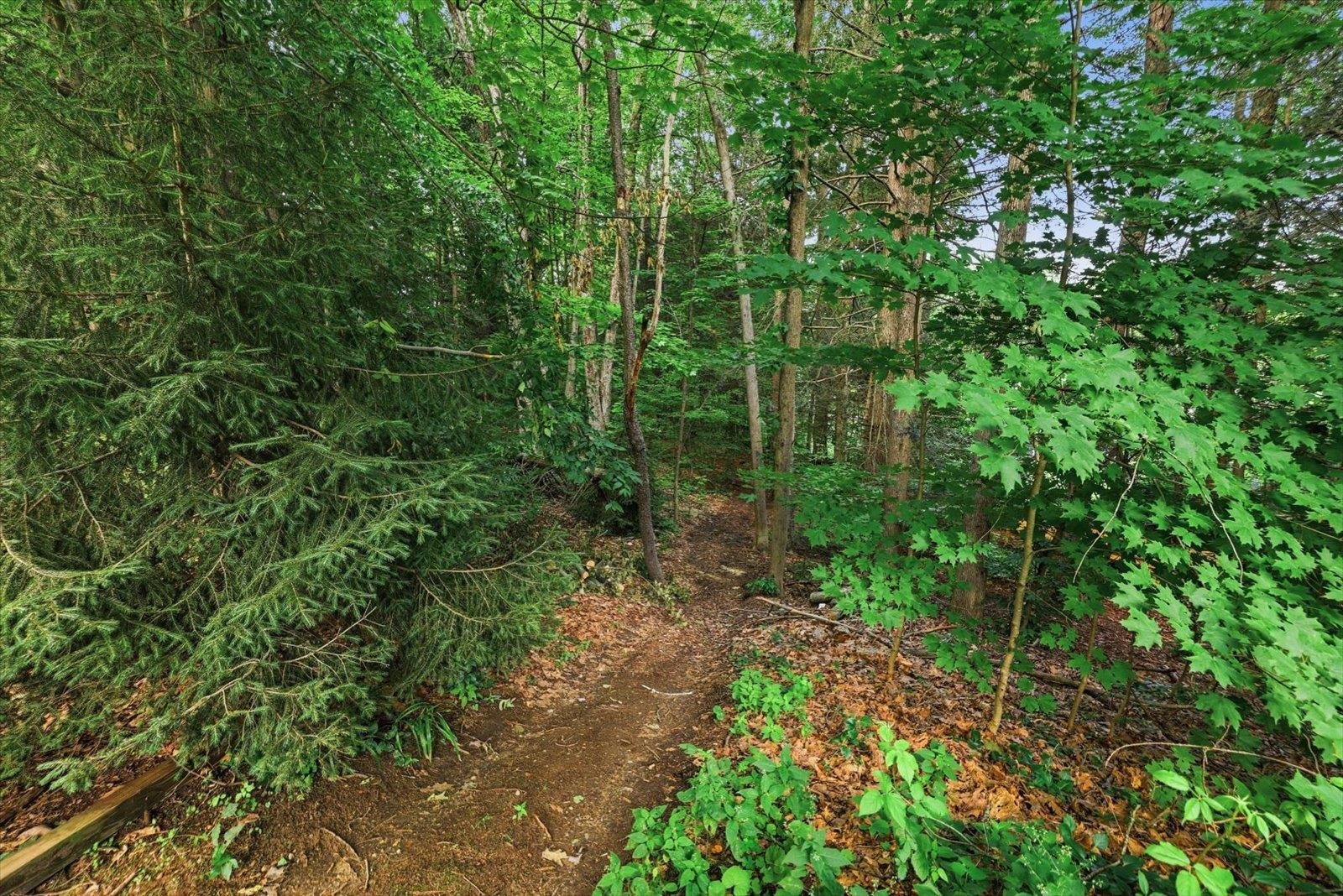 69 Carriage Hill Road Brattleboro, VT 05301 - Photo 41 of 56