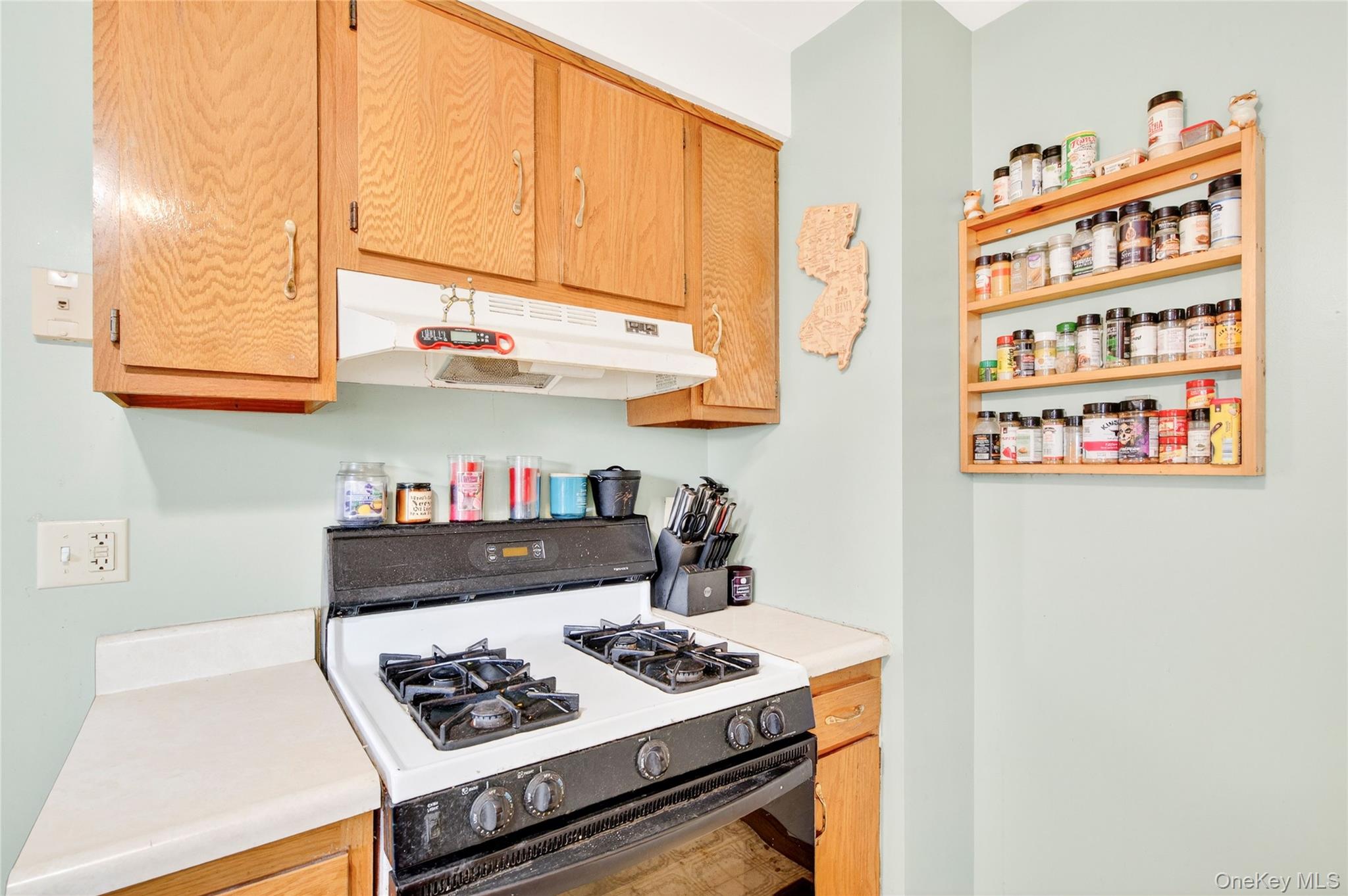 131 Front Street Port Jervis, NY 12771 - Photo 17 of 35 Kitchen featuring range with gas stovetop, under cabinet range hood, and light countertops
