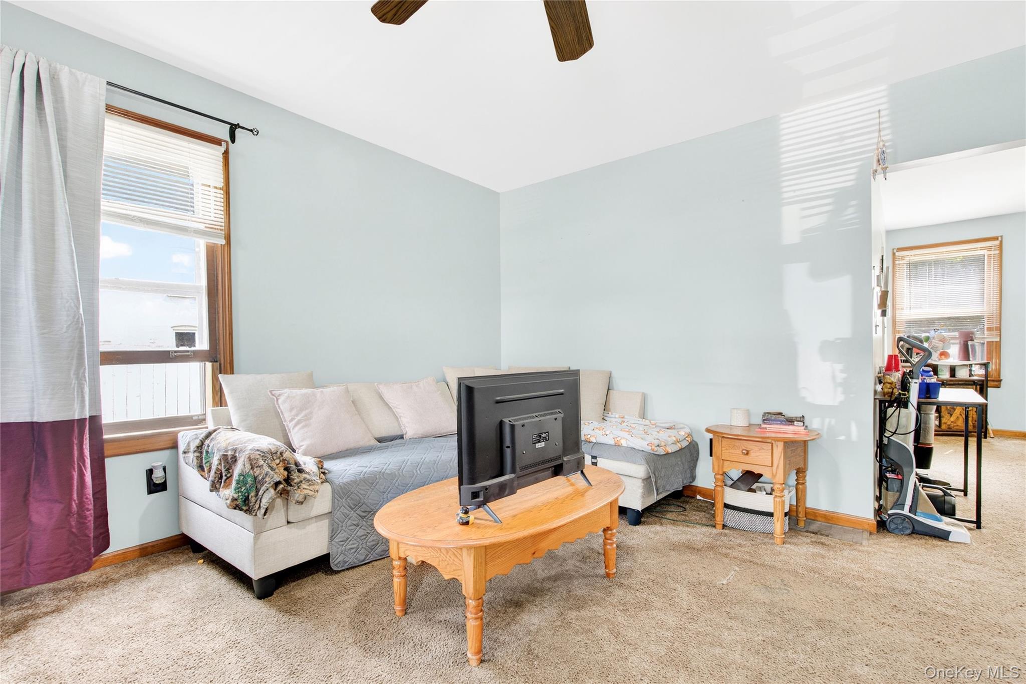 131 Front Street Port Jervis, NY 12771 - Photo 7 of 35 Carpeted living area with healthy amount of natural light, a ceiling fan, and baseboards