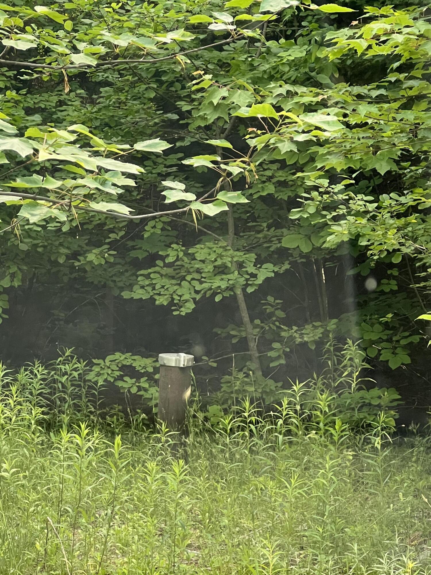 908 Bancroft Road Weston, ME 04424 - Photo 12 of 17 IMG_8978