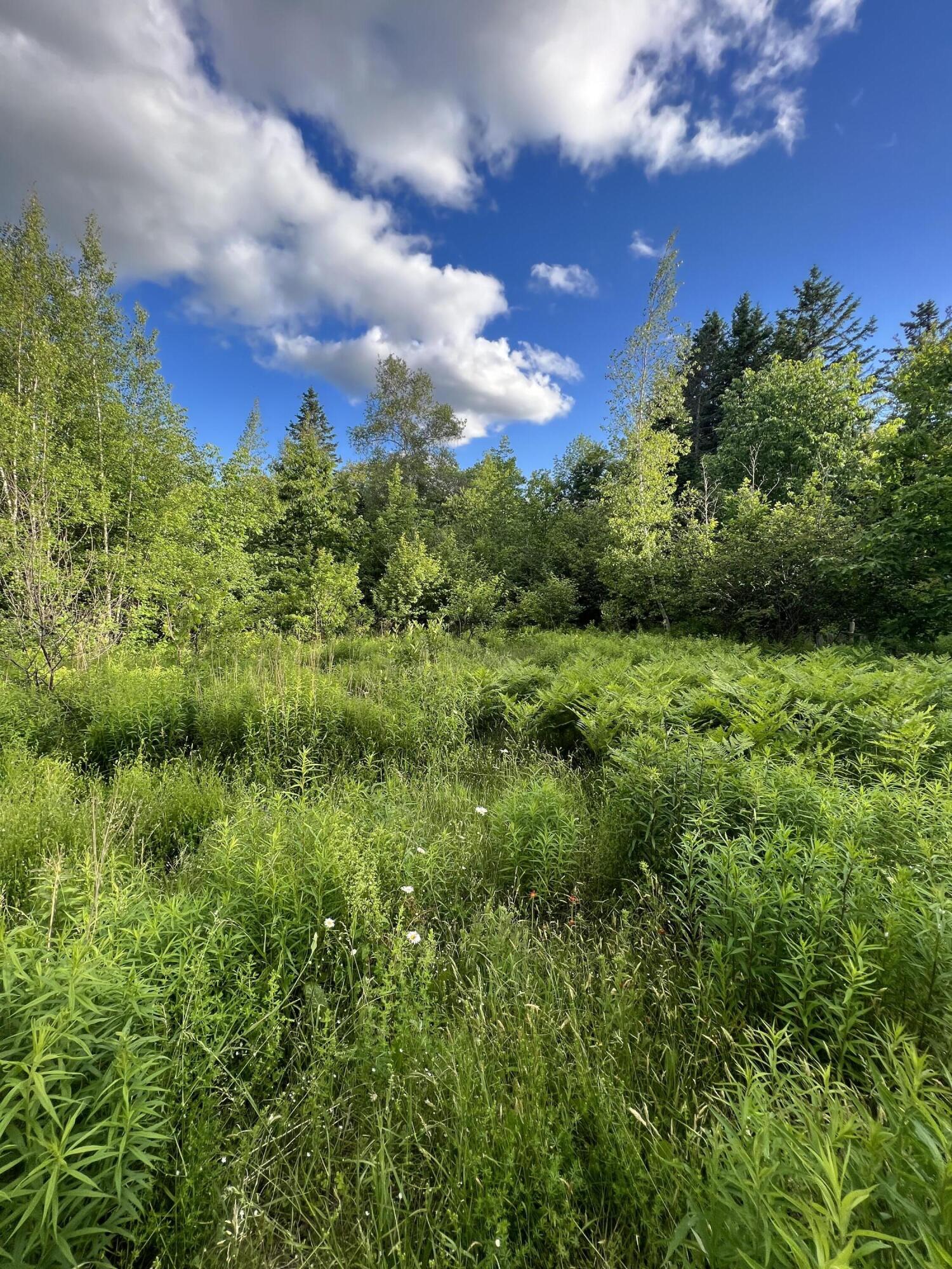 908 Bancroft Road Weston, ME 04424 - Photo 13 of 17 IMG_8977