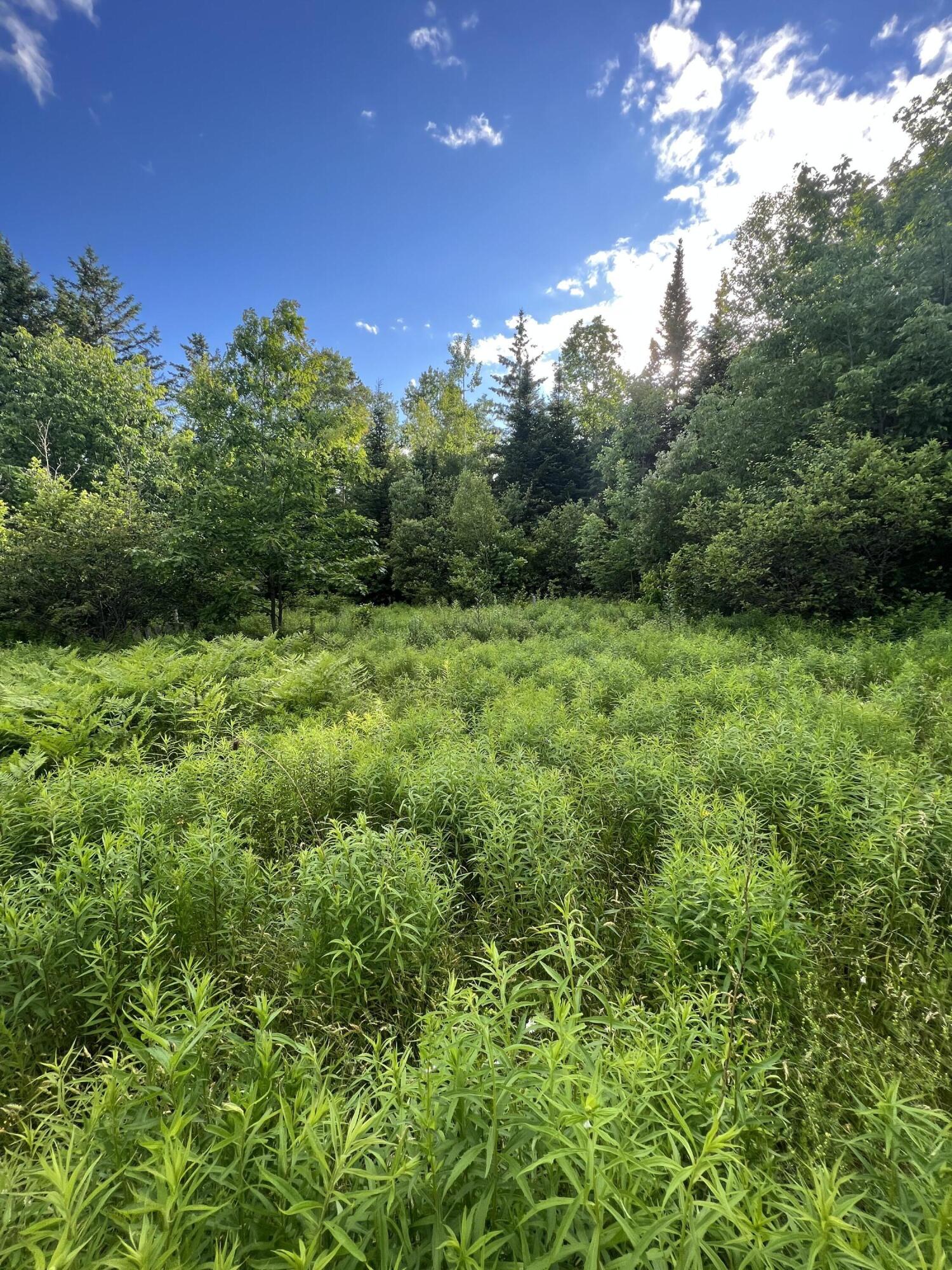 908 Bancroft Road Weston, ME 04424 - Photo 14 of 17 IMG_8976