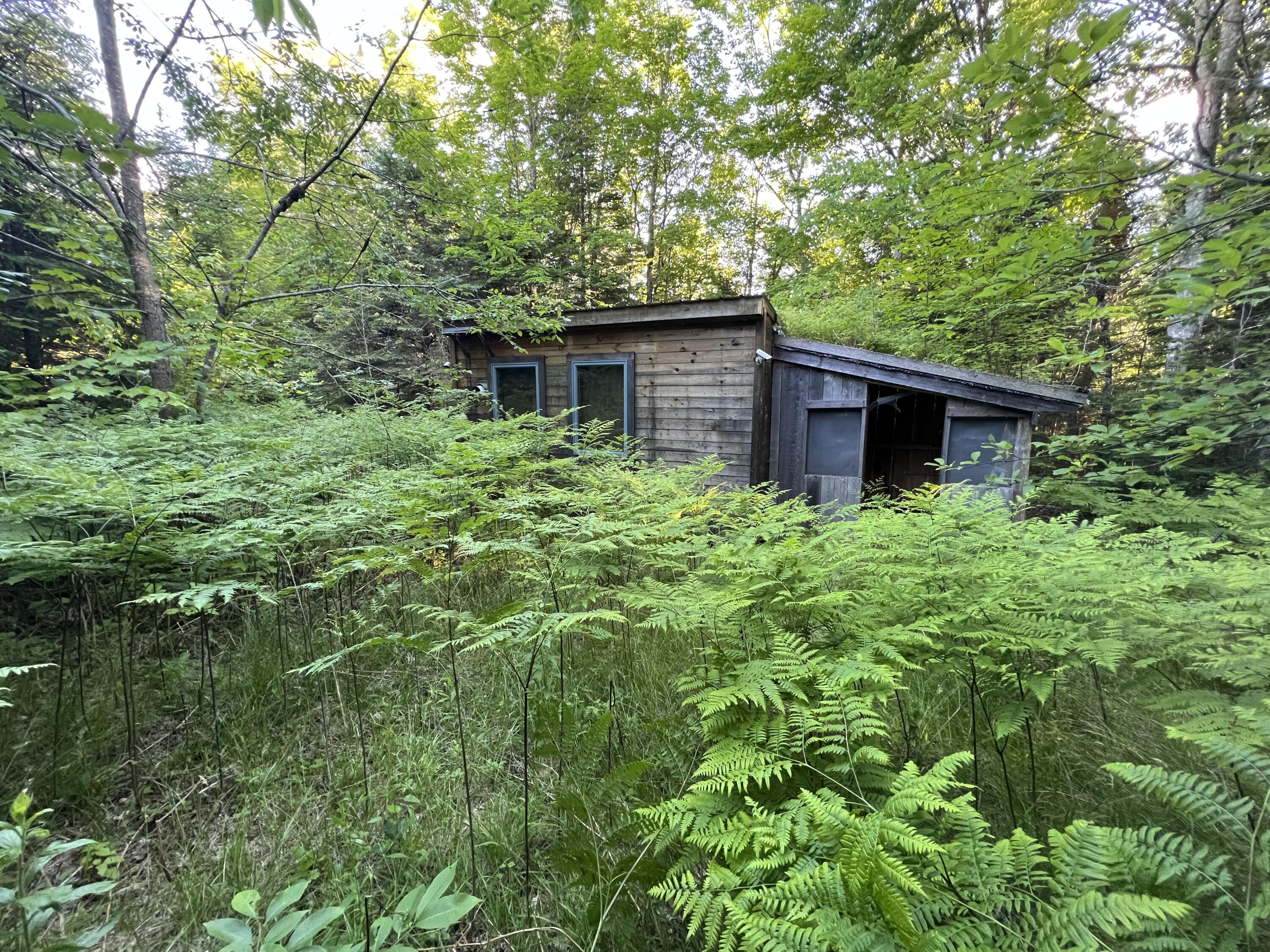 908 Bancroft Road Weston, ME 04424 - Photo 3 of 17 IMG_8981