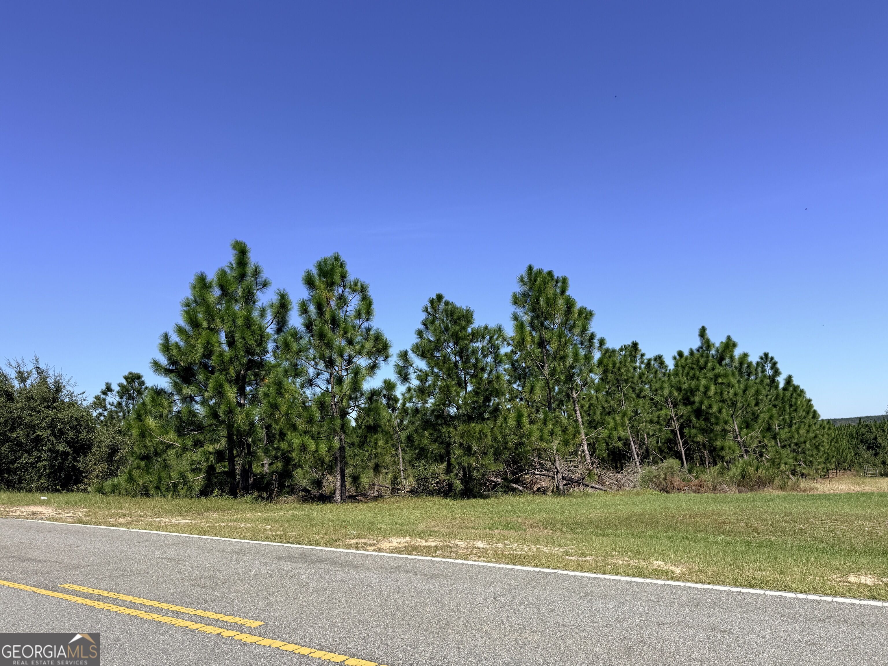 0 Altamaha Road Hazlehurst, GA 31539 - Photo 1 of 10 Gallery Image 1