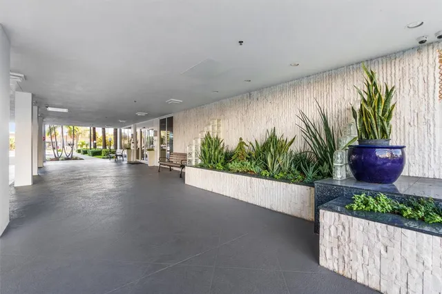 a view of a garden with a chair