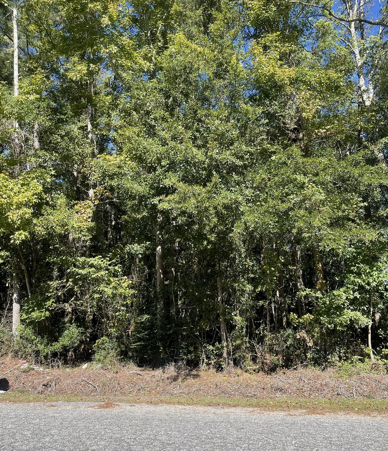 0 Holywoods Road Kingstree, SC 29556 - Photo 1 of 5 Street View