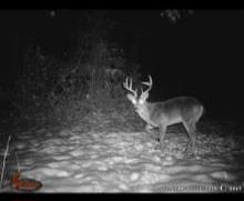 4739 Wallace Buie Road Columbia, AL 36319 - Photo 7 of 54