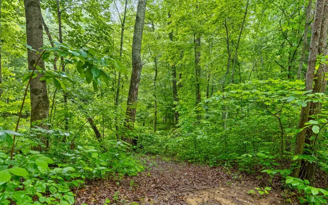 $799,000 | 10-acres Majestic Oaks Drive, Signal Mountain, TN 37377