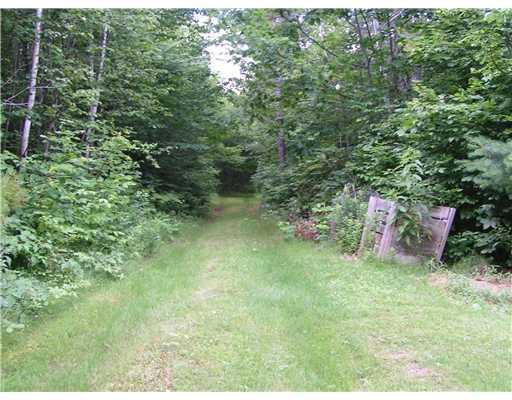 167 Frost Hill Road Norway, ME 04268 - Photo 20 of 25 Land.