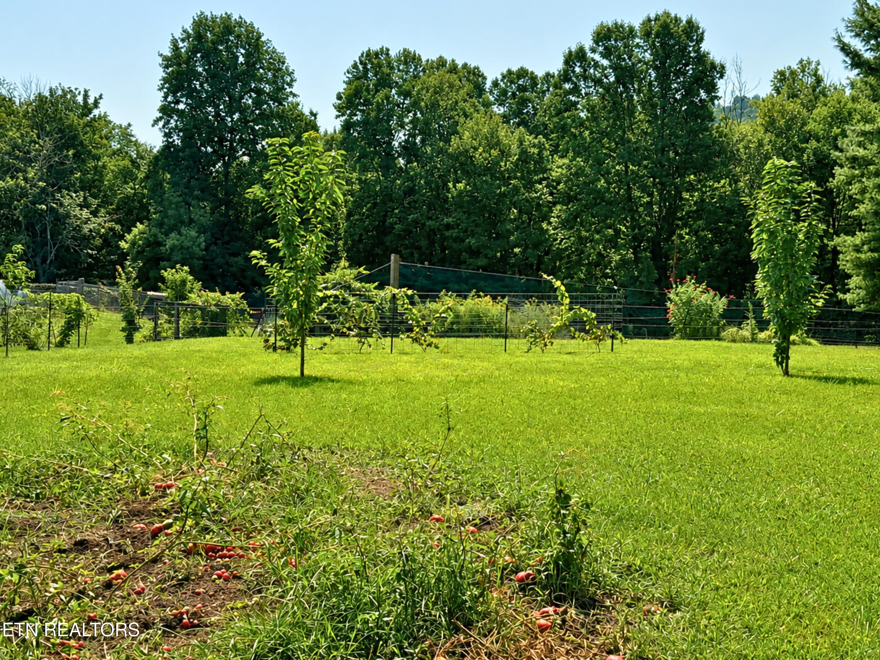 10106 Spring Creek Road Cookeville, TN 38506 - Photo 12 of 13 12