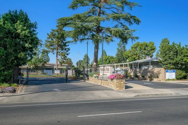a view of a city with flower plants and large trees