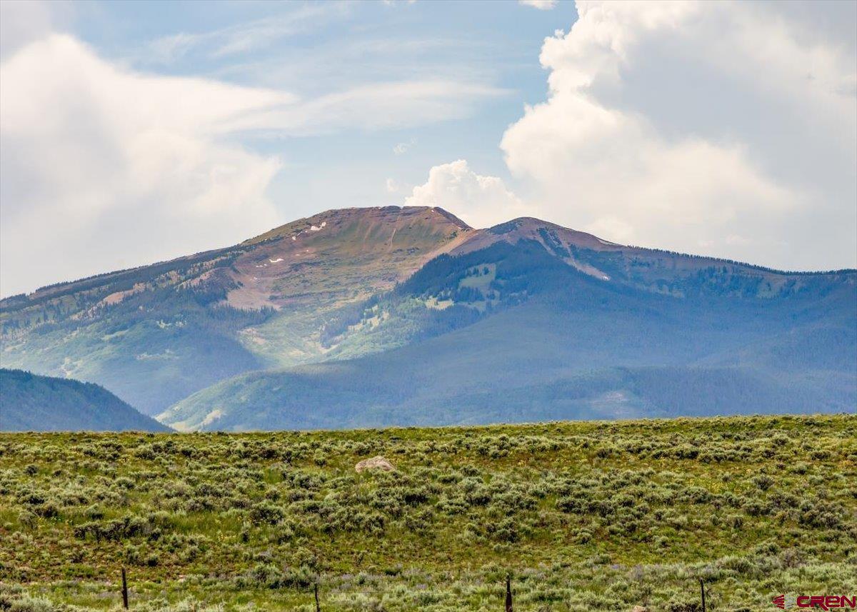 a view of a big yard with wooden fence