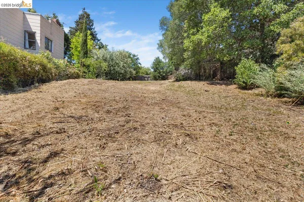 a view of a plants with yard