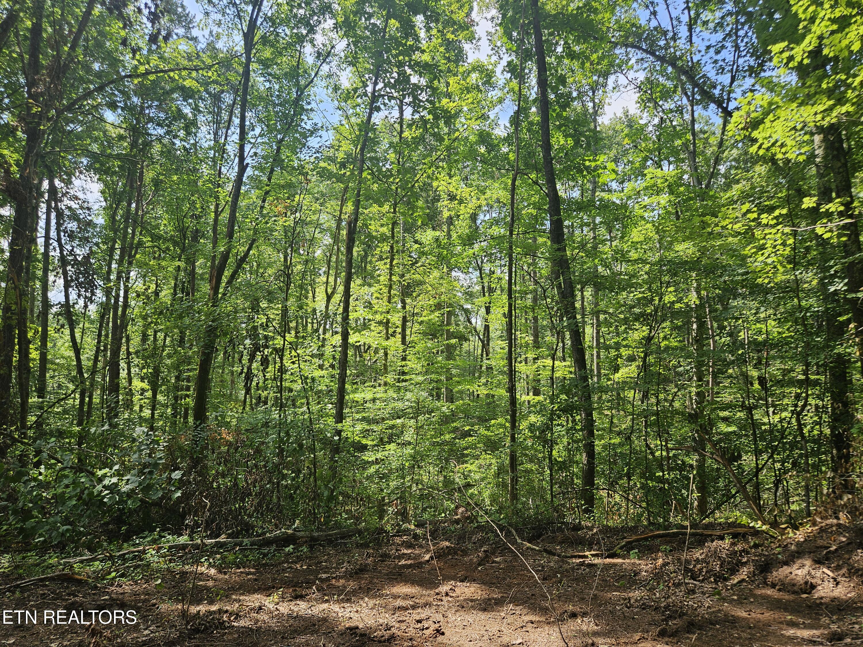 Hickory Valley Road Road Maynardville, TN 37807 - Photo 11 of 29 20250721_112520