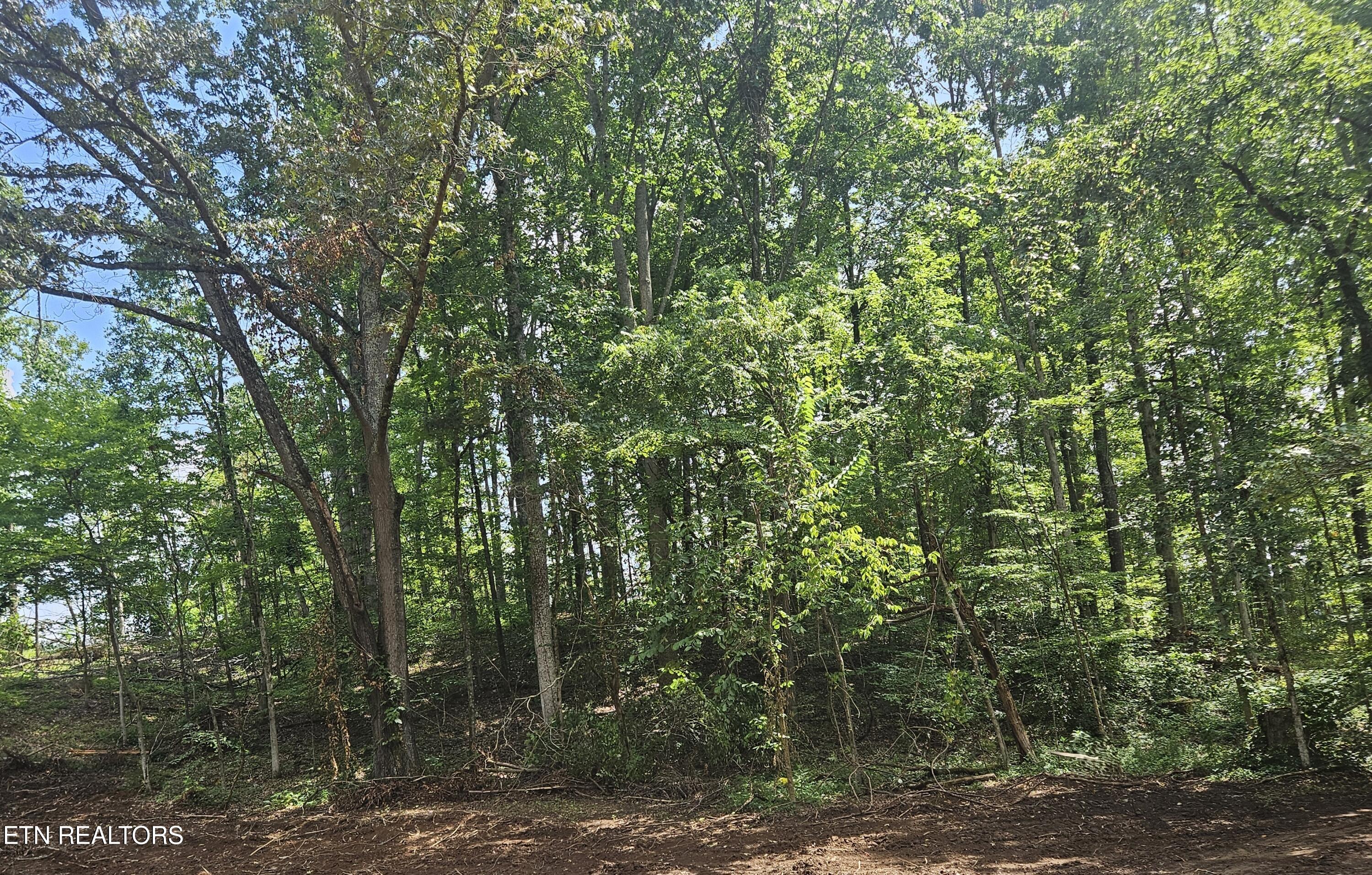 Hickory Valley Road Road Maynardville, TN 37807 - Photo 12 of 29 20250721_112829