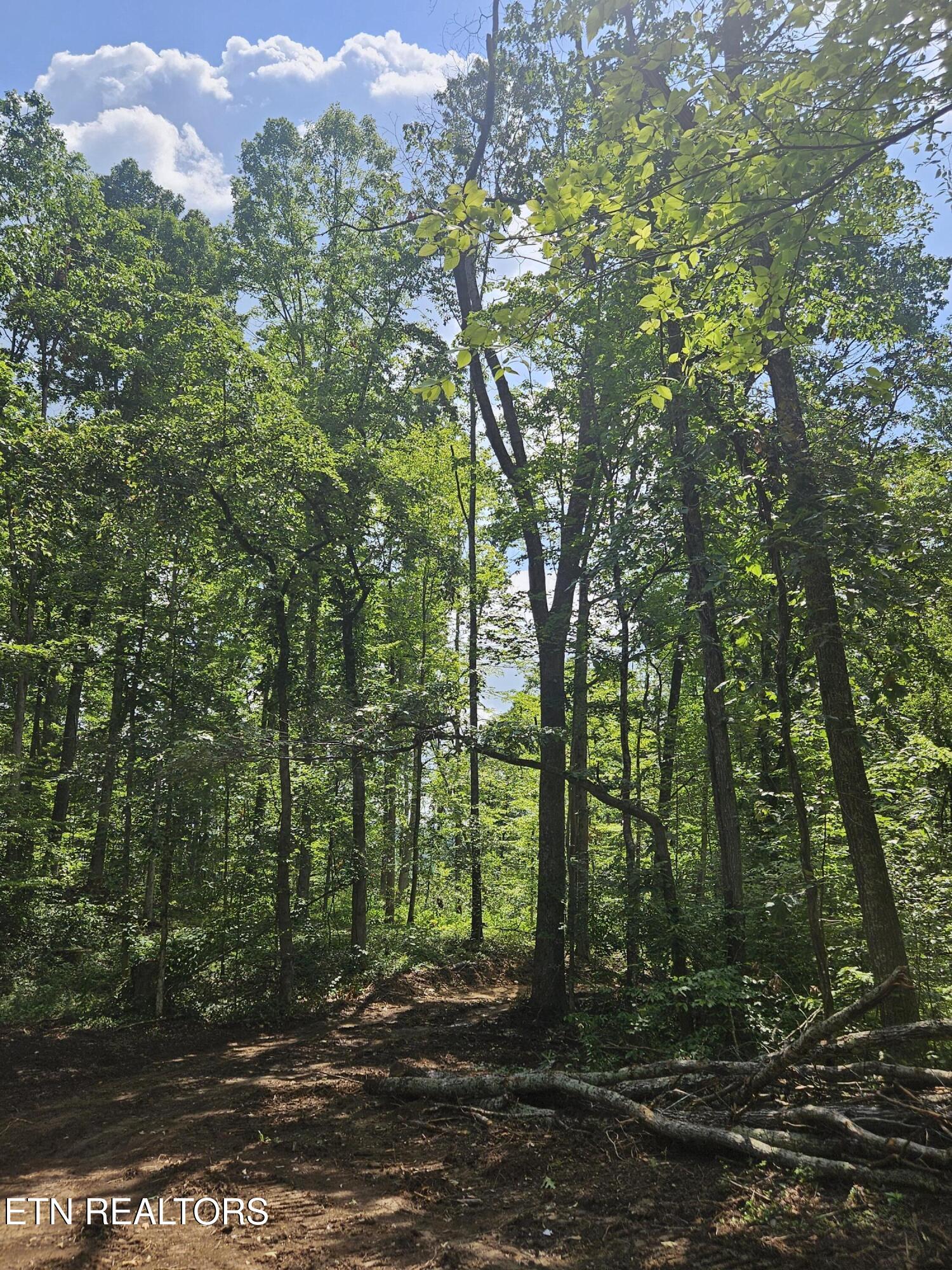 Hickory Valley Road Road Maynardville, TN 37807 - Photo 13 of 29 20250721_112835