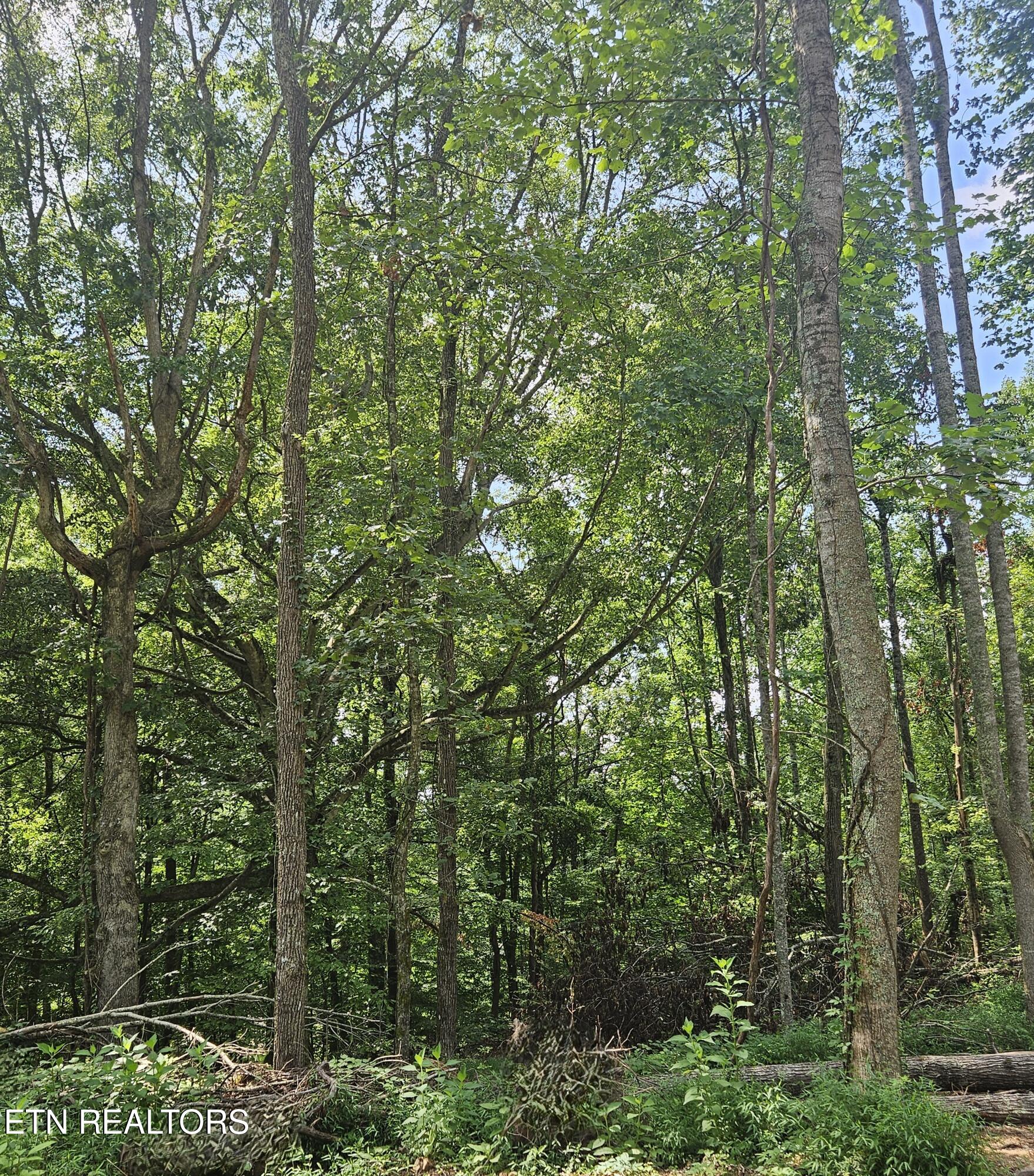 Hickory Valley Road Road Maynardville, TN 37807 - Photo 15 of 29 20250721_113018