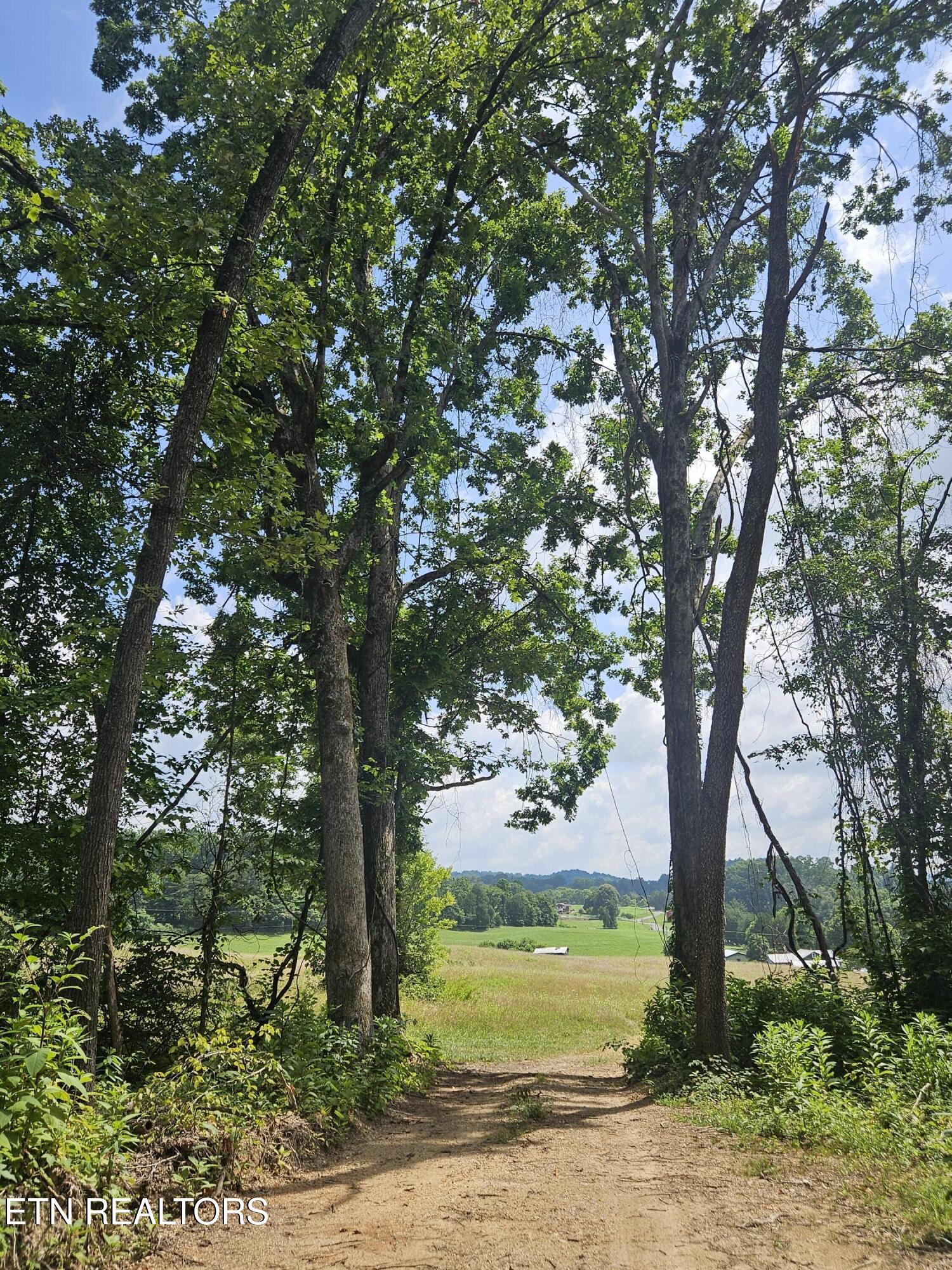 Hickory Valley Road Road Maynardville, TN 37807 - Photo 17 of 29 20250721_113042