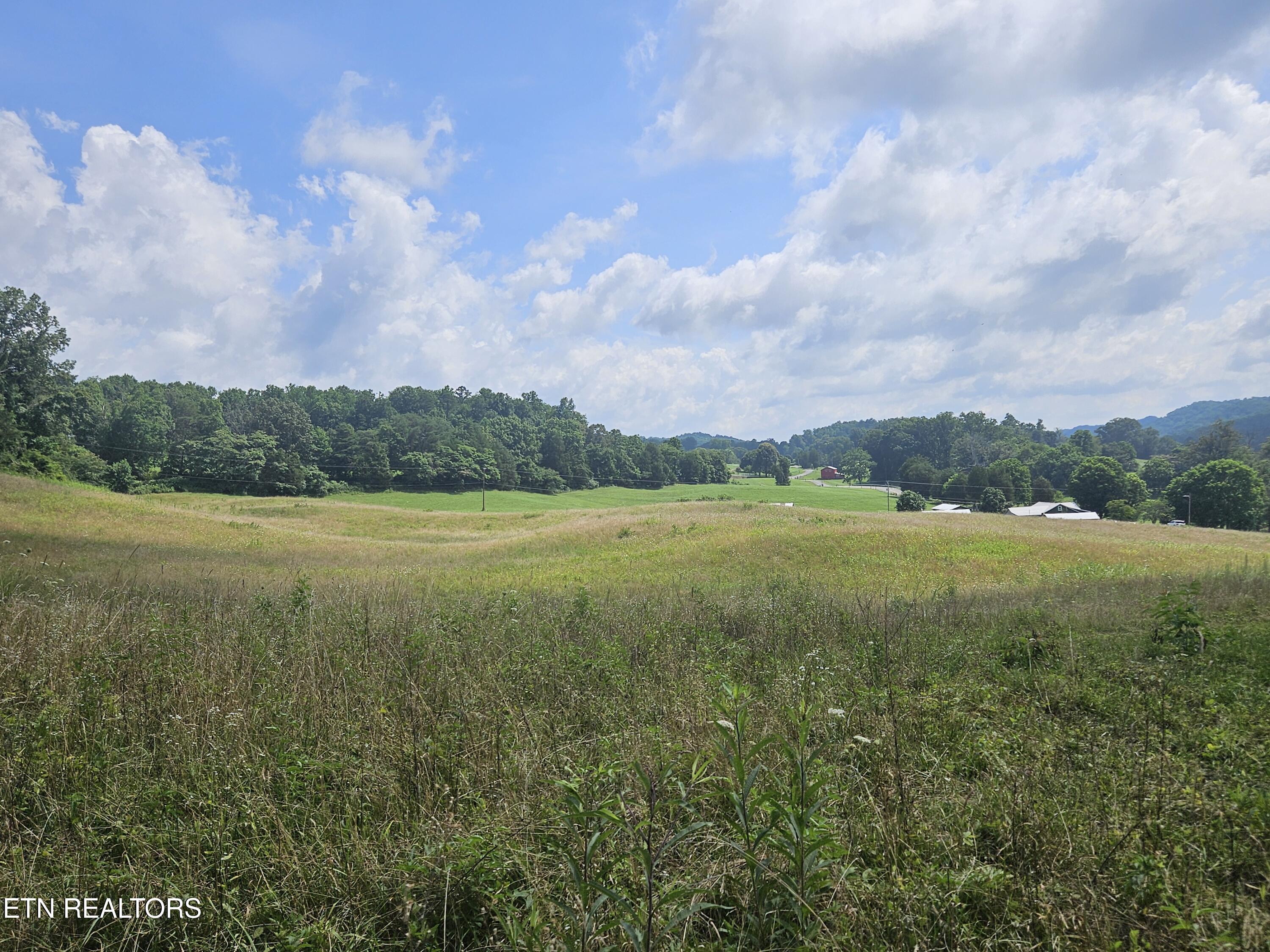 Hickory Valley Road Road Maynardville, TN 37807 - Photo 18 of 29 20250721_113117