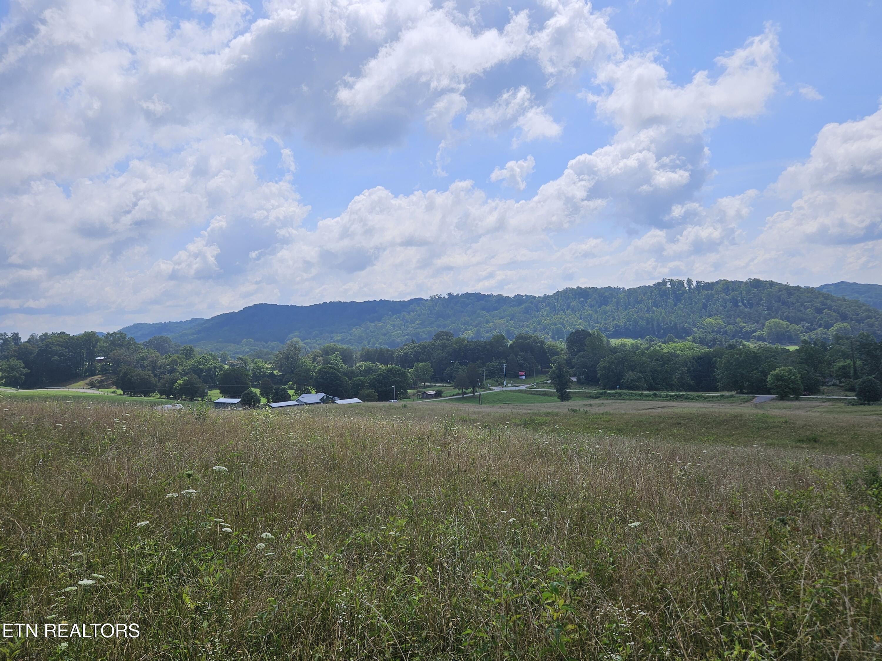Hickory Valley Road Road Maynardville, TN 37807 - Photo 19 of 29 20250721_113334