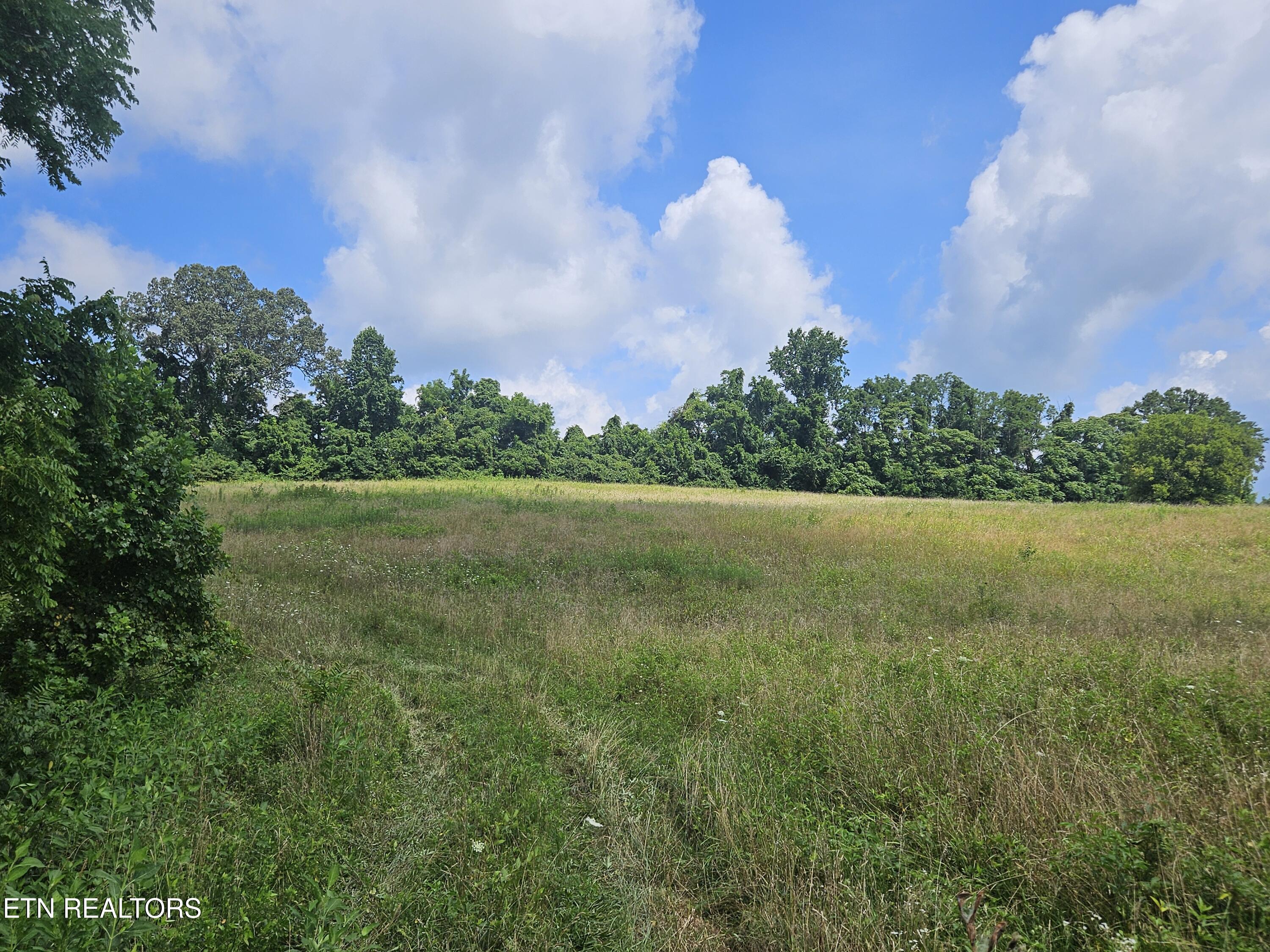 Hickory Valley Road Road Maynardville, TN 37807 - Photo 20 of 29 20250721_113339