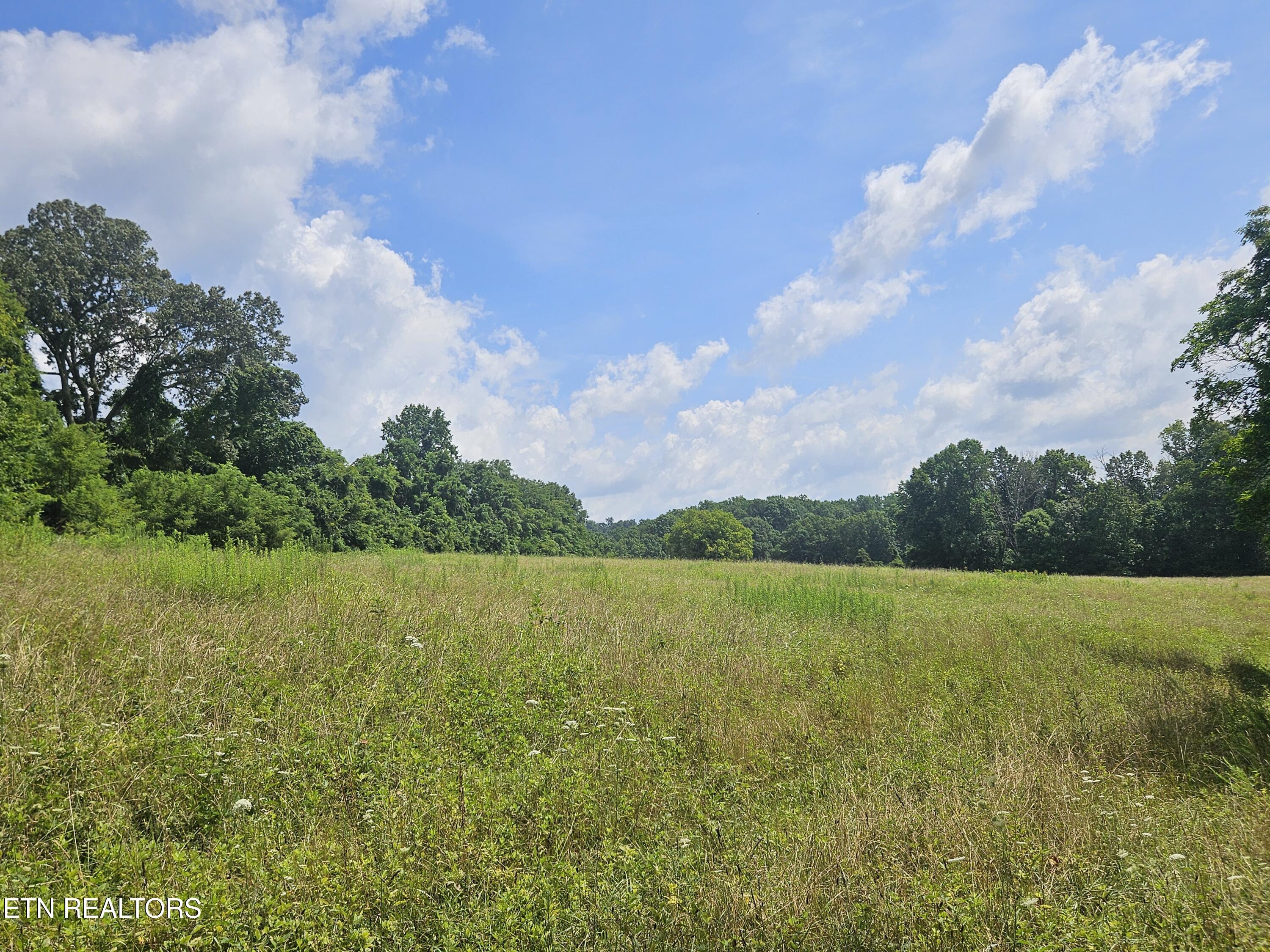 Hickory Valley Road Road Maynardville, TN 37807 - Photo 22 of 29 20250721_113528