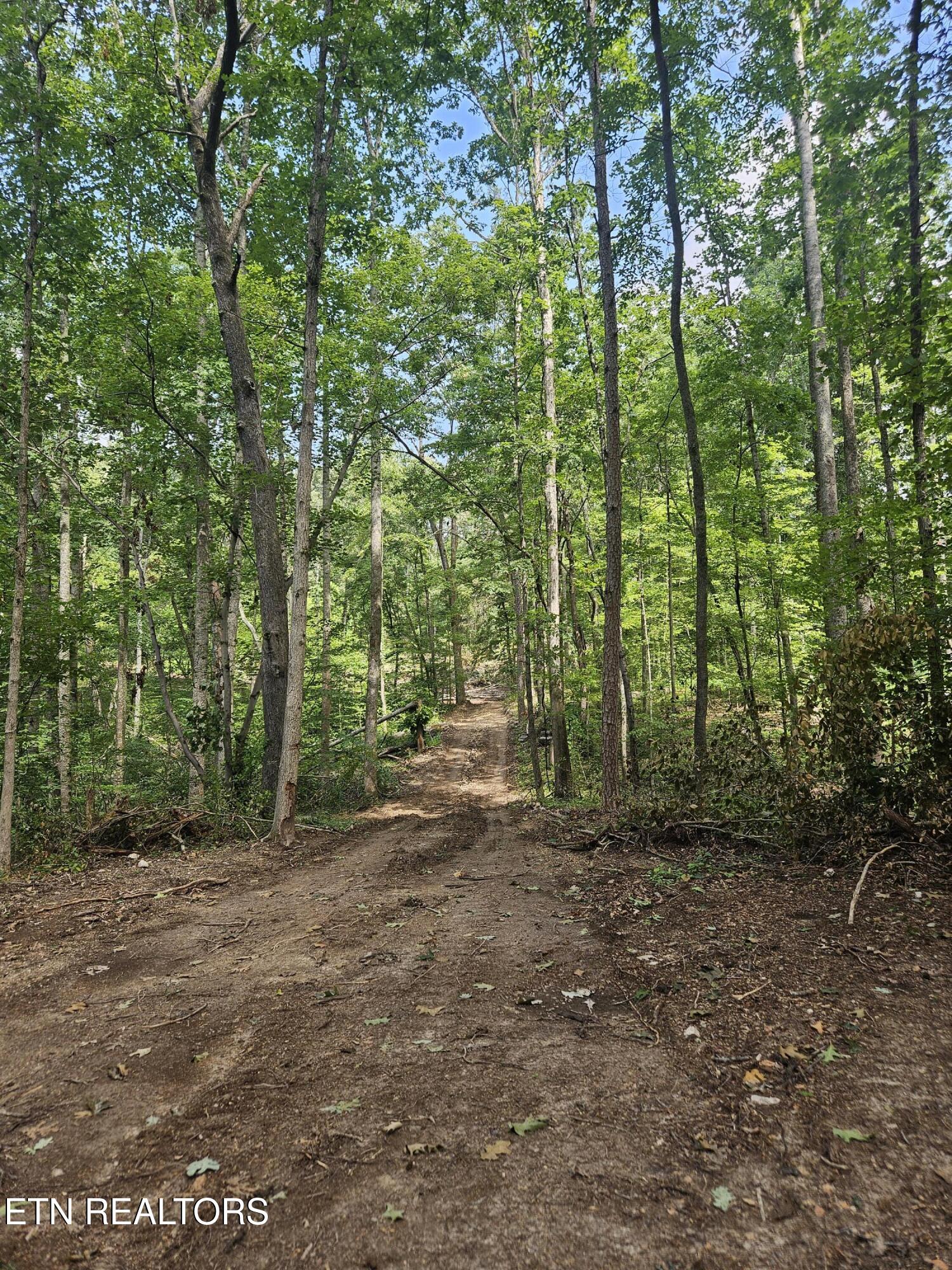 Hickory Valley Road Road Maynardville, TN 37807 - Photo 8 of 29 20250721_112255