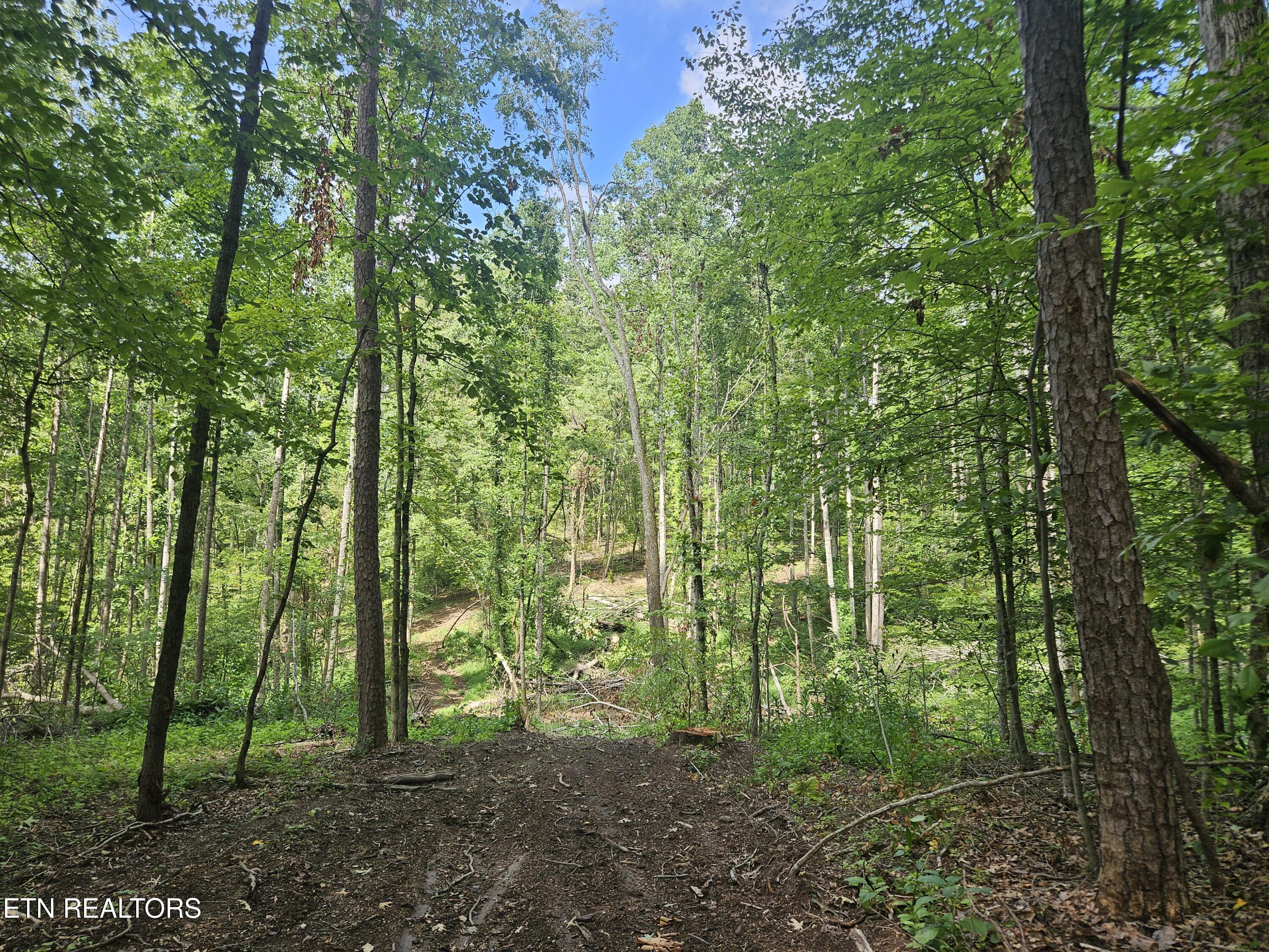 Hickory Valley Road Road Maynardville, TN 37807 - Photo 9 of 29 20250721_112308