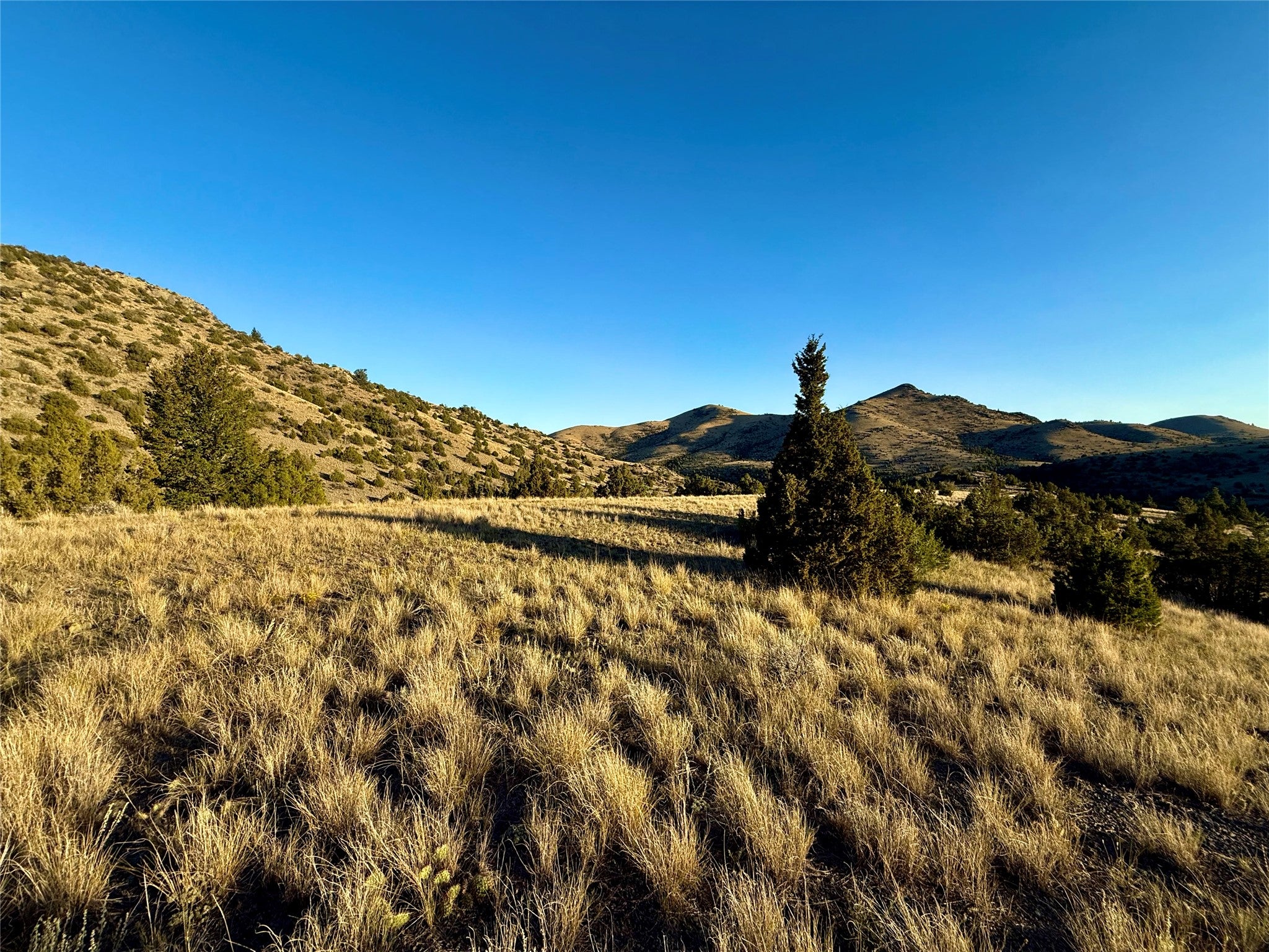 Tbd Tbd Johnny Gulch Road Toston, MT 59643 - Photo 17 of 48 Gallery Image 17