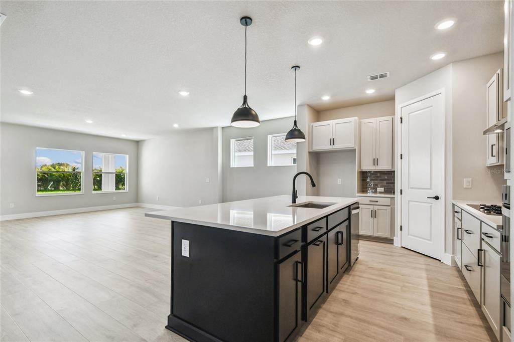 11743 Full Moon Loop Parrish, FL 34219 - Photo 5 of 42 a kitchen with stainless steel appliances granite countertop a sink a stove and a wooden floors