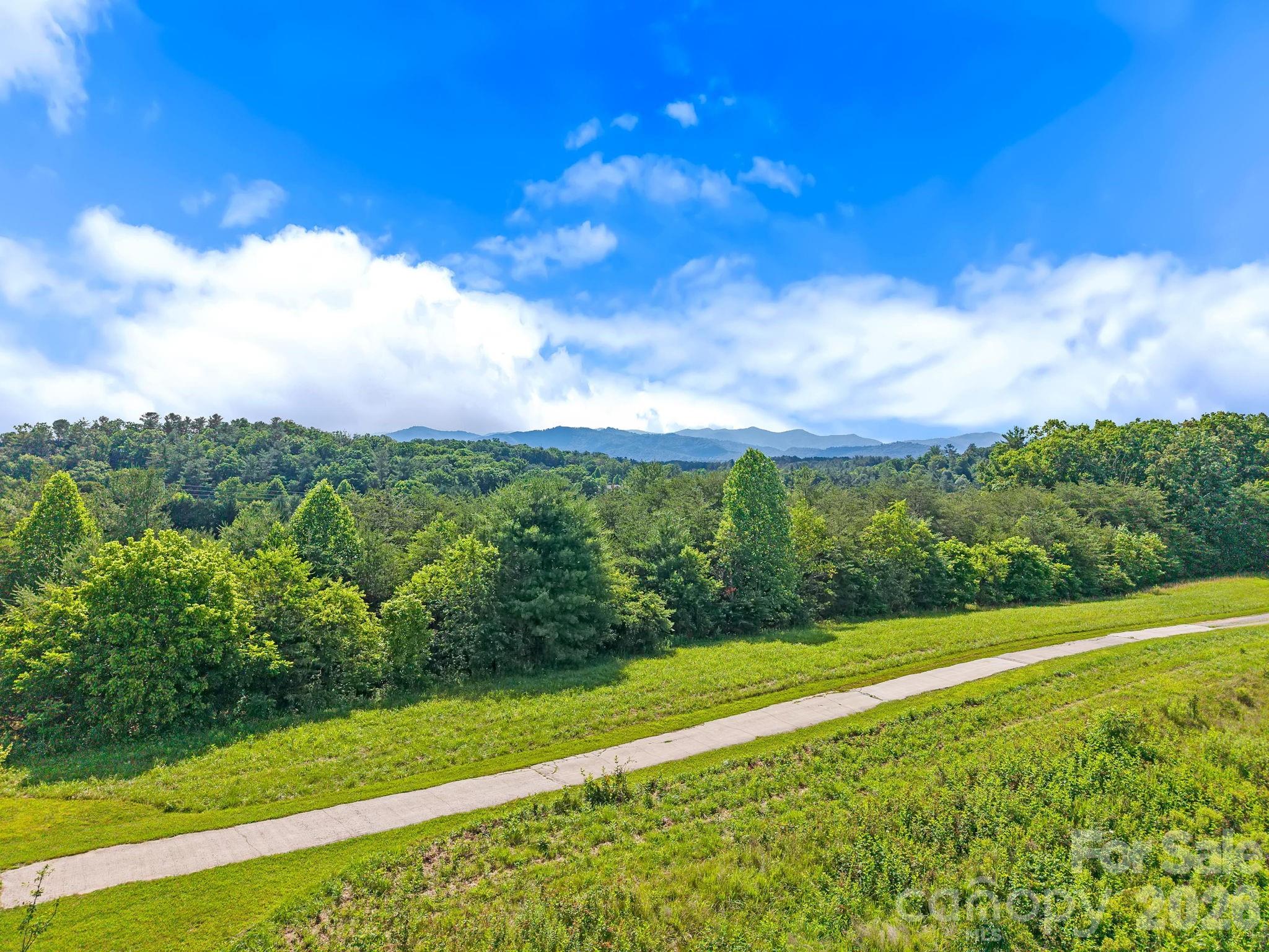 72 Ed Debruhl Road Alexander, NC 28701 - Photo 6 of 25