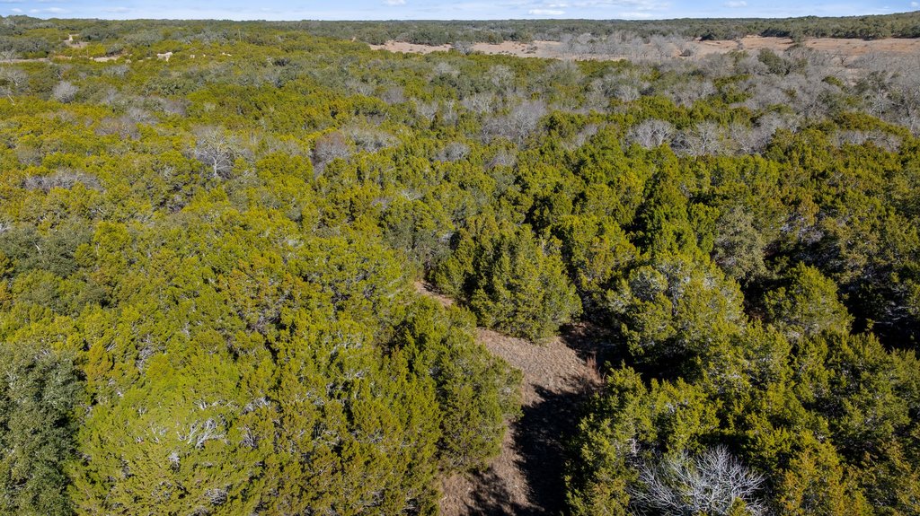 Tbd Lucky Hit Road Leander, TX 78641 - Photo 15 of 27 a view of a houses with green field