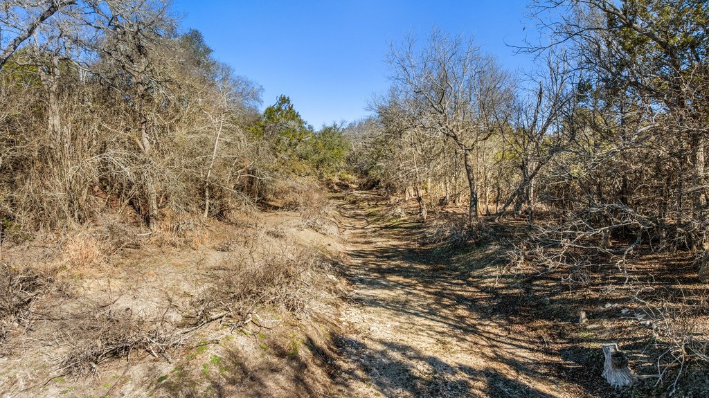Tbd Lucky Hit Road Leander, TX 78641 - Photo 19 of 27 a view of a yard