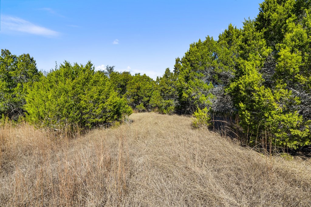 Tbd Lucky Hit Road Leander, TX 78641 - Photo 24 of 27 a view of a yard with a tree