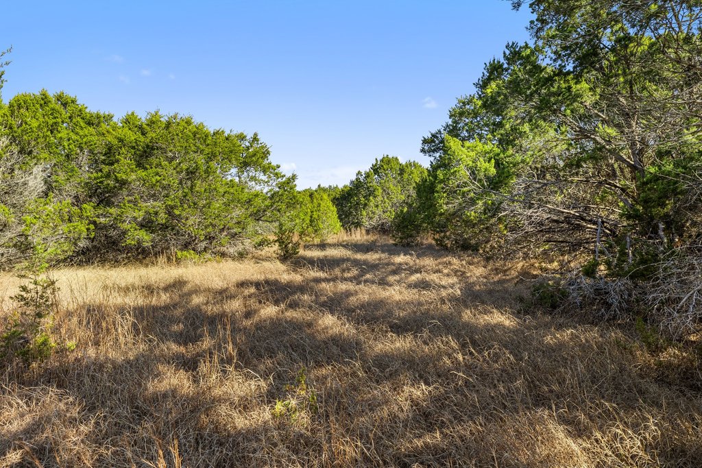 Tbd Lucky Hit Road Leander, TX 78641 - Photo 25 of 27 a view of a yard with a tree