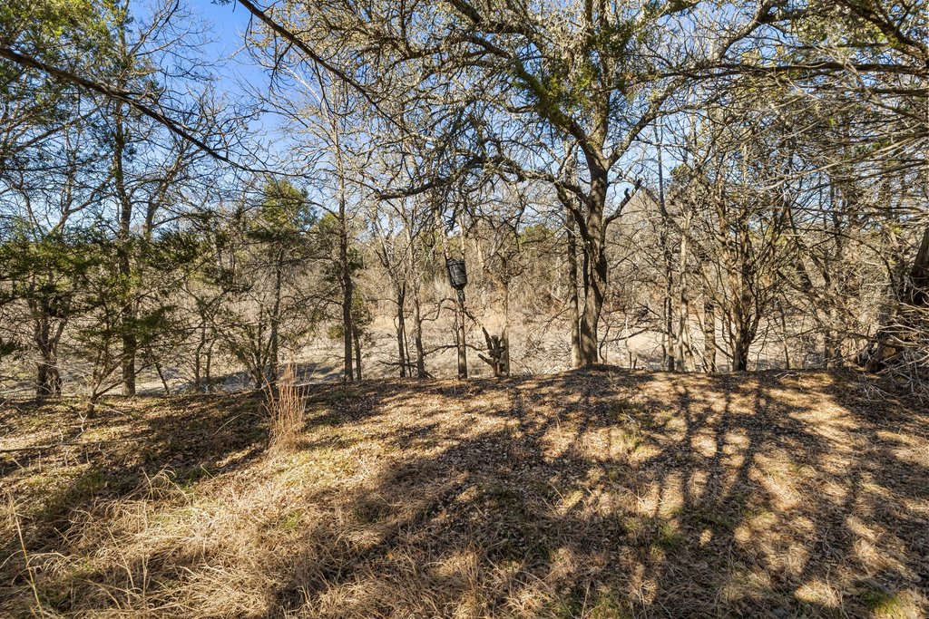 Tbd Lucky Hit Road Leander, TX 78641 - Photo 26 of 27 a view of a yard with a tree