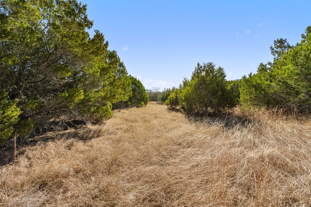 Tbd Lucky Hit Road Leander, TX 78641 - Photo 27 of 27 a view of a dry yard with trees