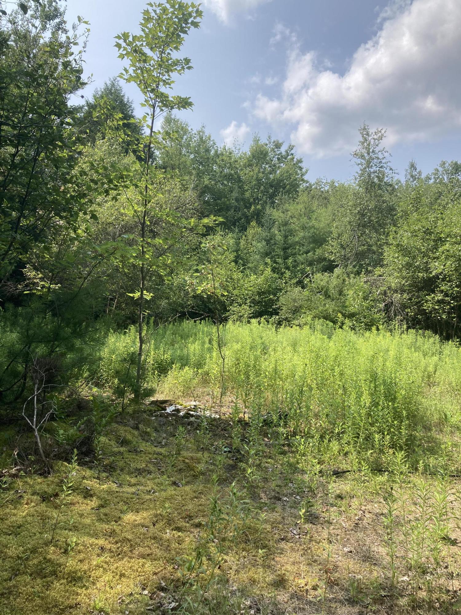 Lot 30 Dead River Road Bowdoin, ME 04287 - Photo 6 of 7 Photo Jul 27, 2 18 12 PM