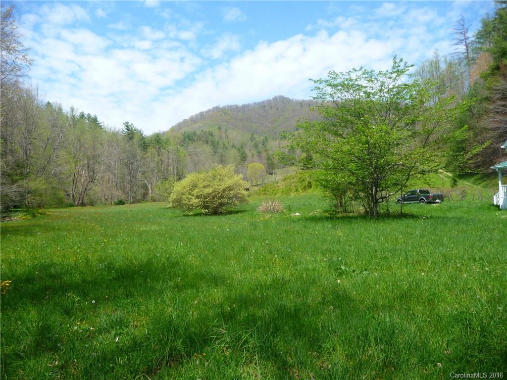 2932 Big Laurel Road Marshall, NC 28753 - Photo 3 of 24 Gallery Image 3