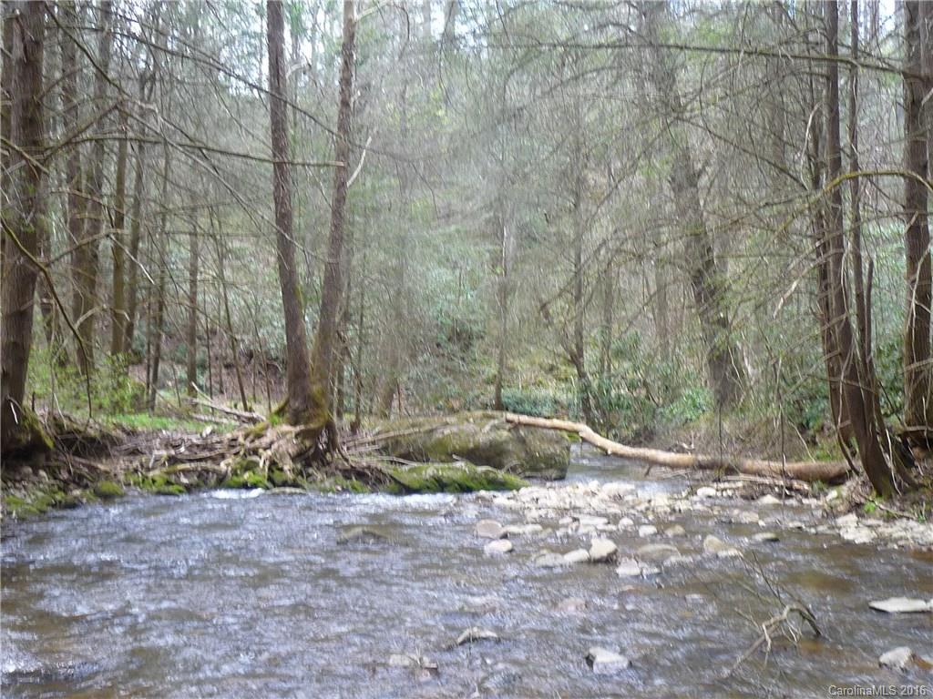 2932 Big Laurel Road Marshall, NC 28753 - Photo 24 of 24 Gallery Image 24